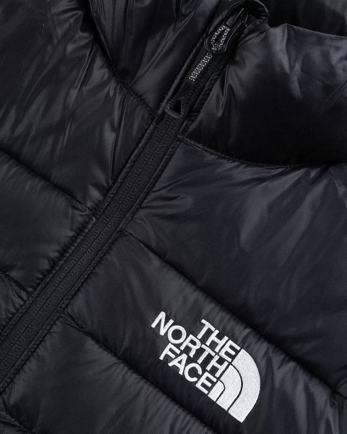 Overtøj>The North Face Carduelis Dunjakke Sort