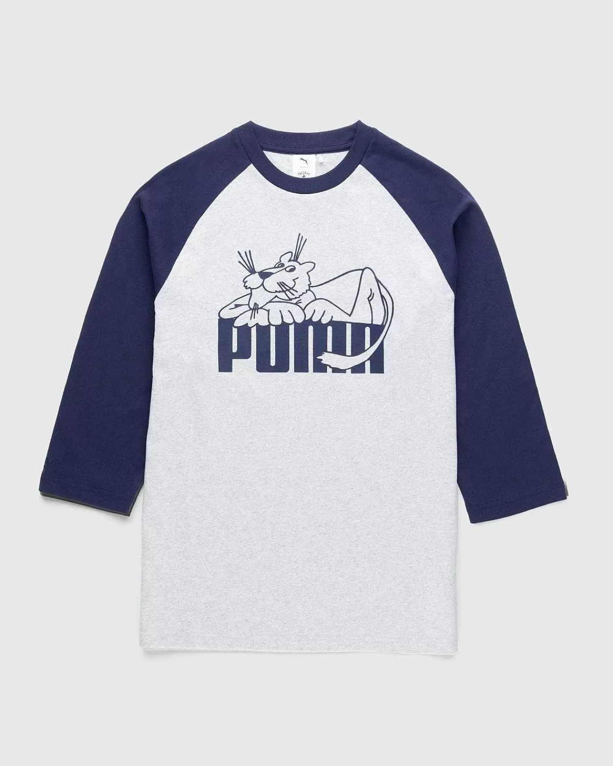 T-Shirts>Puma Raglan Langaermet Gra